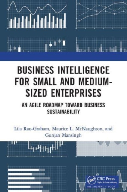 Business Intelligence for Small and Medium-Sized Enterprises : An Agile Roadmap toward Business Sustainability