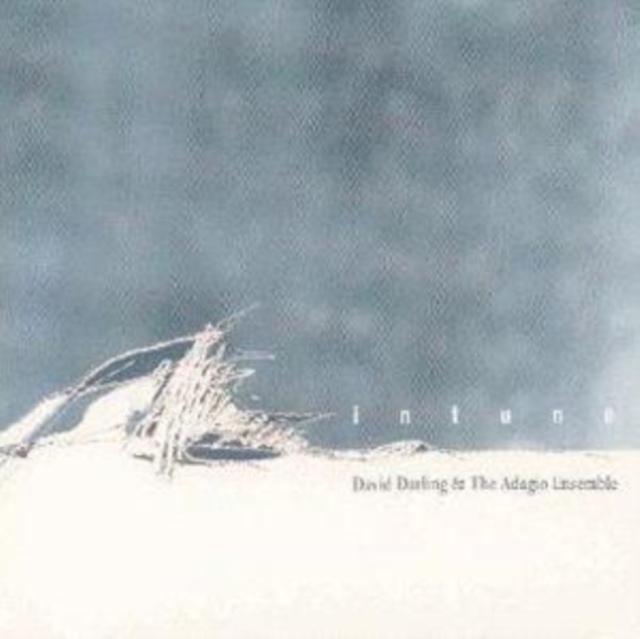 DAVID DARLING - INTUNE - CD image 1