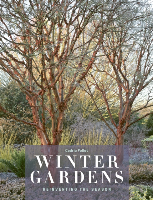 Winter Gardens : Reinventing the Season