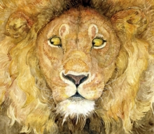 Jerry Pinkney - Lion and the Mouse - Paperback image 1