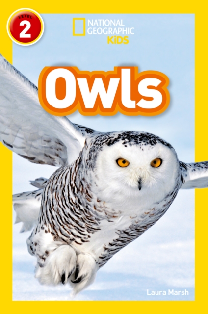 Owls : Level 2