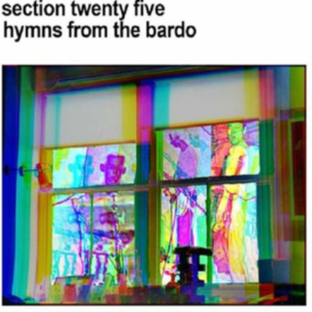 SECTION 25 - HYMNS FROM THE BARDO - CD image 1