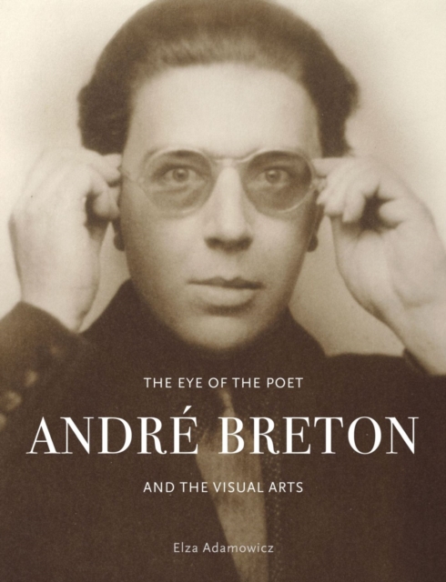 The Eye of the Poet : Andre Breton and the Visual Arts