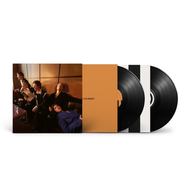 Giant Rooks - How Have You Been? - Vinyl Record 2lp image 1