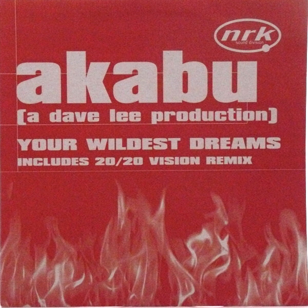 Akabu - Your Wildest Dreams - Used Vinyl Record 12" image 1
