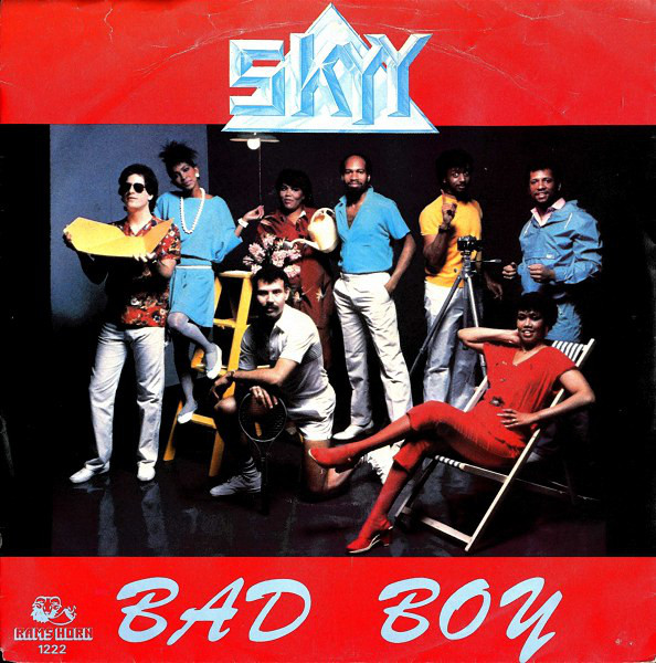Skyy - Bad Boy - Used Vinyl Record 7" image 1