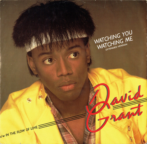 David Grant - Watching You Watching Me - Used Vinyl Record 12" image 1