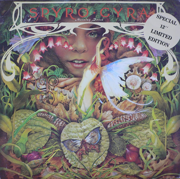 Spyro Gyra - Morning Dance - Used Vinyl Record 12" image 1