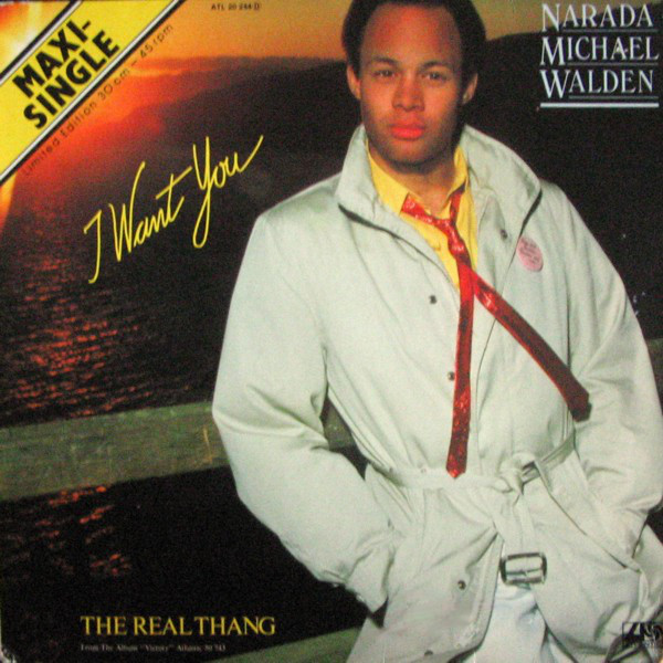Narada Michael Walde - I Want You - Used Vinyl Record 12" image 1