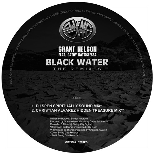 Grant Nelson - Black Water - The Remixes - Vinyl Record 12" image 1