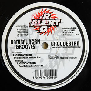 Groovebird