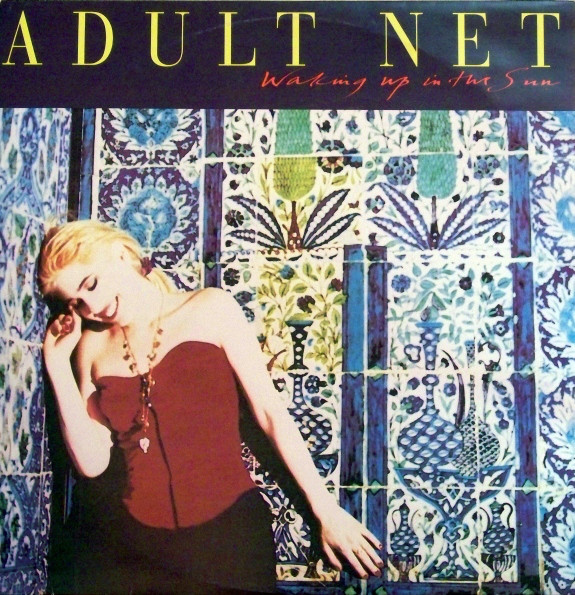 Adult Net - Waking Up In The Sun - Used Vinyl Record 12" image 1