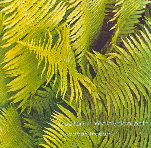 Edgar Froese - Epsilon In Malaysian Pale - Used Vinyl Record image 1