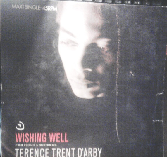 Terence Trent D'Arby - Wishing Well - Used Vinyl Record 12" image 1