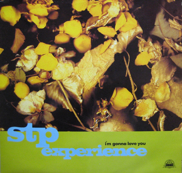 STP Experience - I'm Gonna Love You - Used Vinyl Record 12" image 1