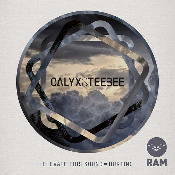 Calyx & TeeBee - Elevate This Sound / Hurting - Vinyl Record 12" image 1