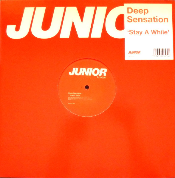 Deep Sensation - Stay A While - Used Vinyl Record 12" image 1