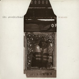 Brotherhood - One Shot / Nothing In Particular Remixes - Used Vinyl R image 1