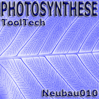 Photosynthese