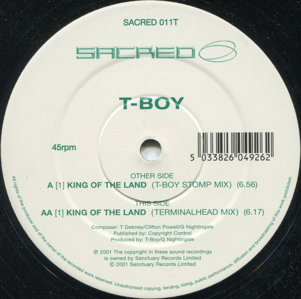T-Boy - King Of The Land - Used Vinyl Record 12" image 1