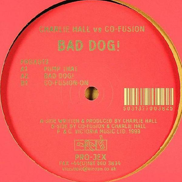 Charlie Hall - Bad Dog! - Used Vinyl Record 12" image 1