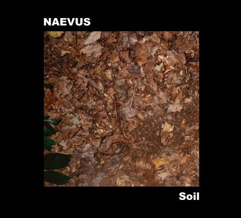 Soil