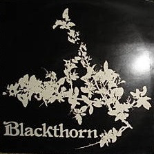 Blackthorn