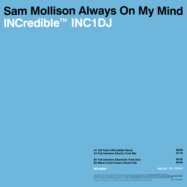 Sam Mollison - Always On My Mind - Used Vinyl 12" image 1