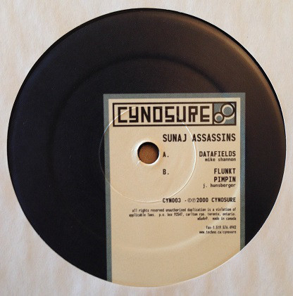Sunaj Assassins - Datafields - Vinyl Record 12" image 1
