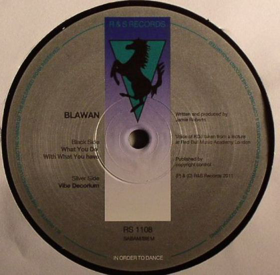 Blawan - What You Do With What You Have - Vinyl Record 12" image 1