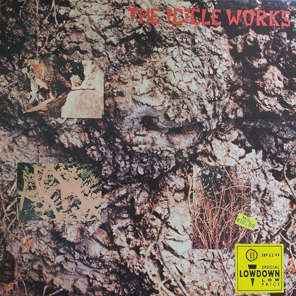 Icicle Works - Used Vinyl Record image 1