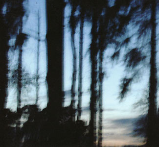 Various - Saite An Saite (A String Based Compilation) - Used CD image 1