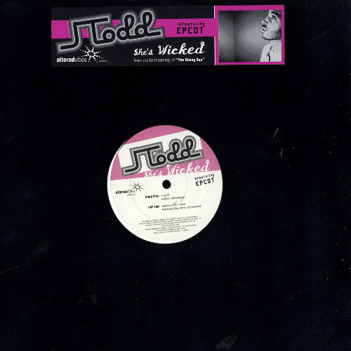 Jason Todd - She's Wicked - Used Vinyl Record 12" image 1