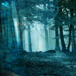 staplerfahrer - Treetops - Used Vinyl Record image 1