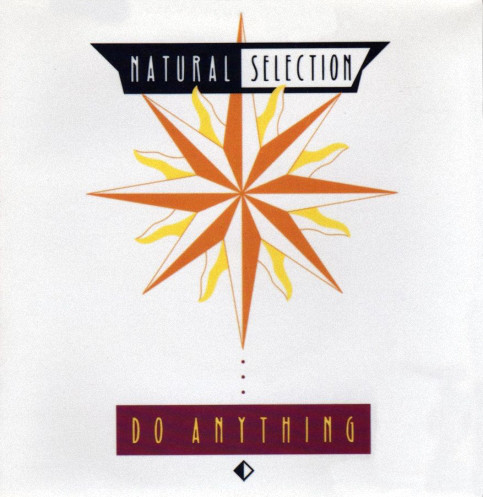 Natural Selection - Do Anything - Used Vinyl Record 12" image 1