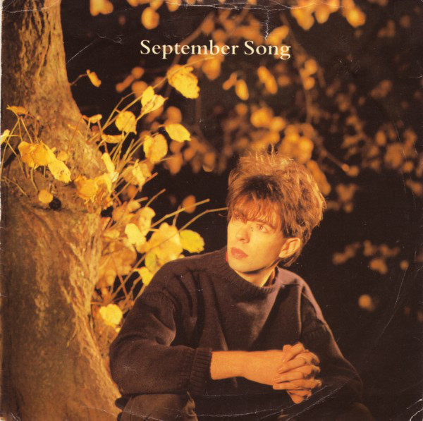 Ian McCulloch - September Song - Used Vinyl Record 7" image 1