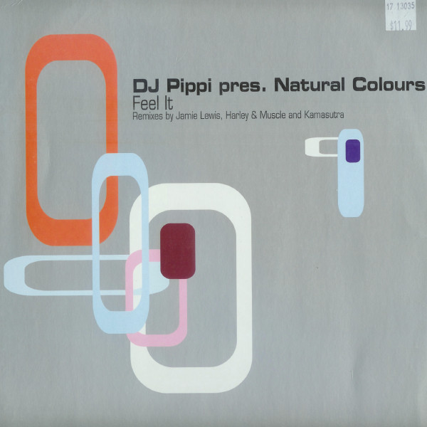 DJ Pippi - Feel It - Used Vinyl Record 12" image 1