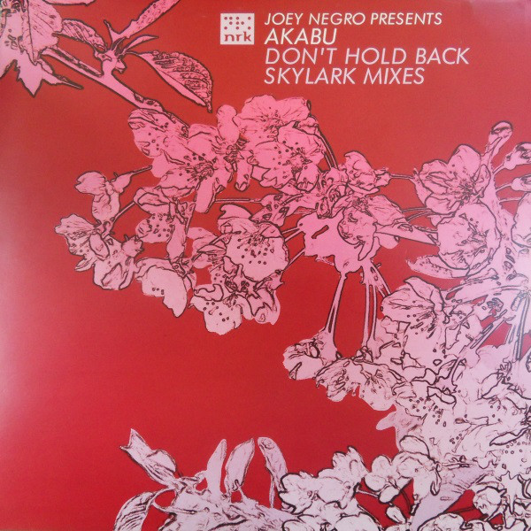 Joey Negro - Don't Hold Back (Skylark Mixes) - Vinyl Record 12" image 1