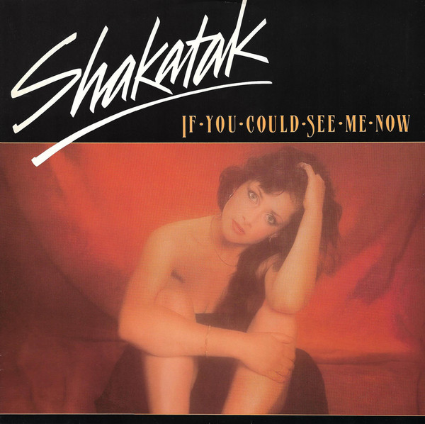 Shakatak - If You Could See Me Now - Used Vinyl Record 12" image 1