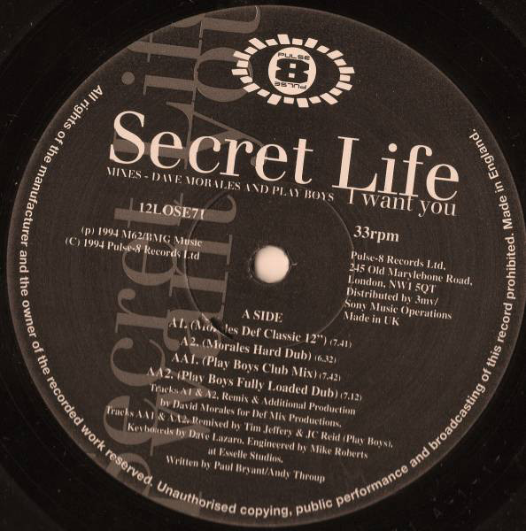 Secret Life - I Want You - Used Vinyl Record 12" image 1