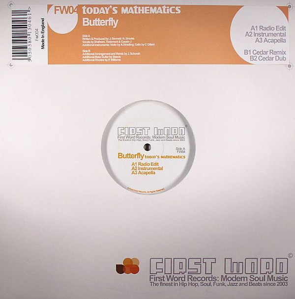 Today's Mathematics - Butterfly - Vinyl Record 12" image 1