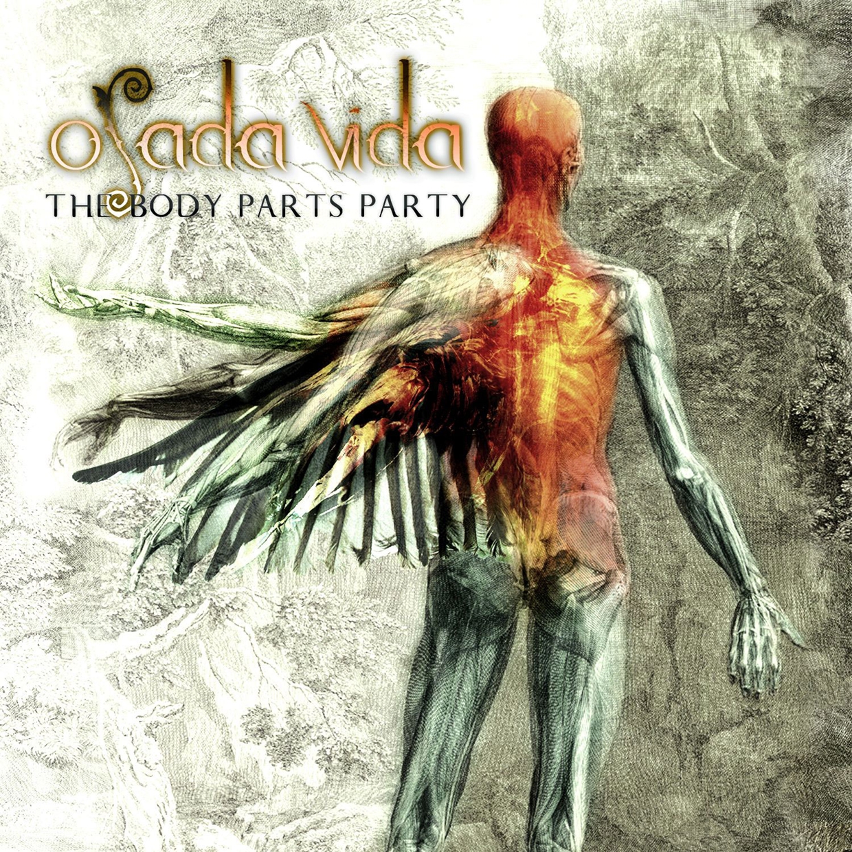 THE BODY PARTS PARTY