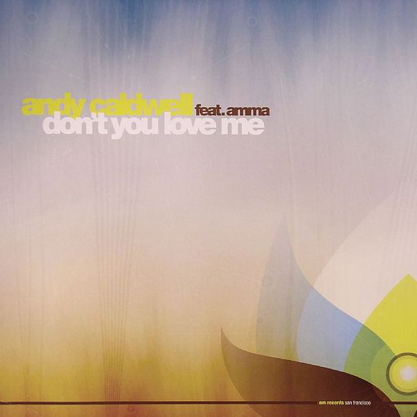 Andy Caldwell - Don't You Love Me - Vinyl Record 12" image 1