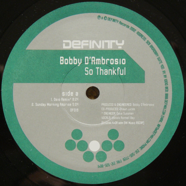Bobby D'Ambrosio - So Thankful - Used Vinyl Record 12" image 1