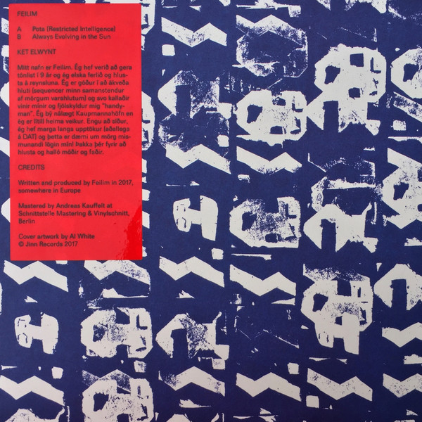 Feilim - Always Evolving in the Sun - Vinyl Record 12" image 1
