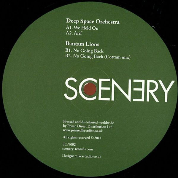 Deep Space Orchestra - We Held On - Vinyl Record 12" image 1