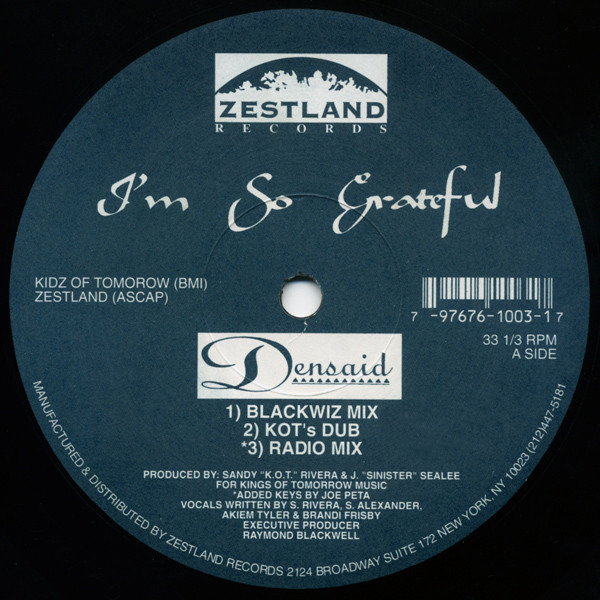Densaid - I'm So Grateful / K.O.T. Anthem (Remix) - Used Vinyl Record image 1