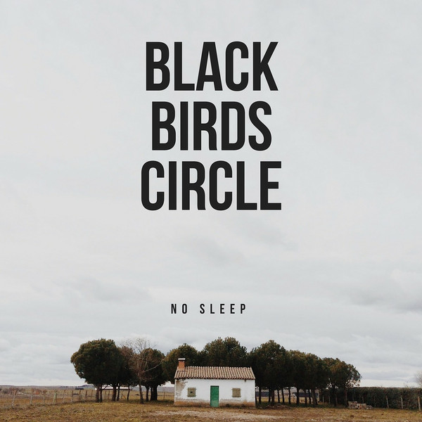 Black Birds Circle