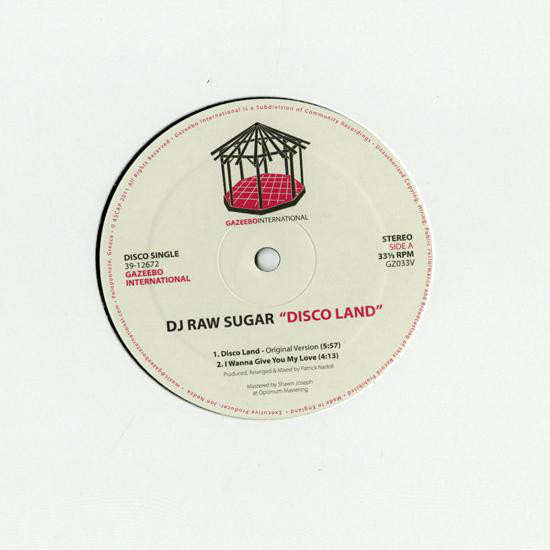 DJ Raw Sugar - Disco Land - Vinyl Record 12" image 1