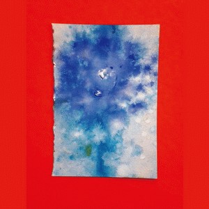 Carlos Nino & Friend - Aquariusssssss - Vinyl Record image 1
